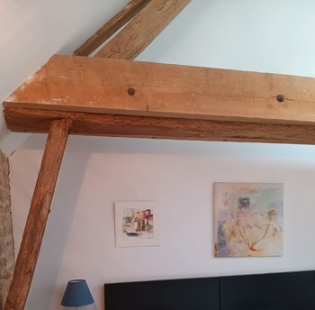 Photo n° 12 de la location
