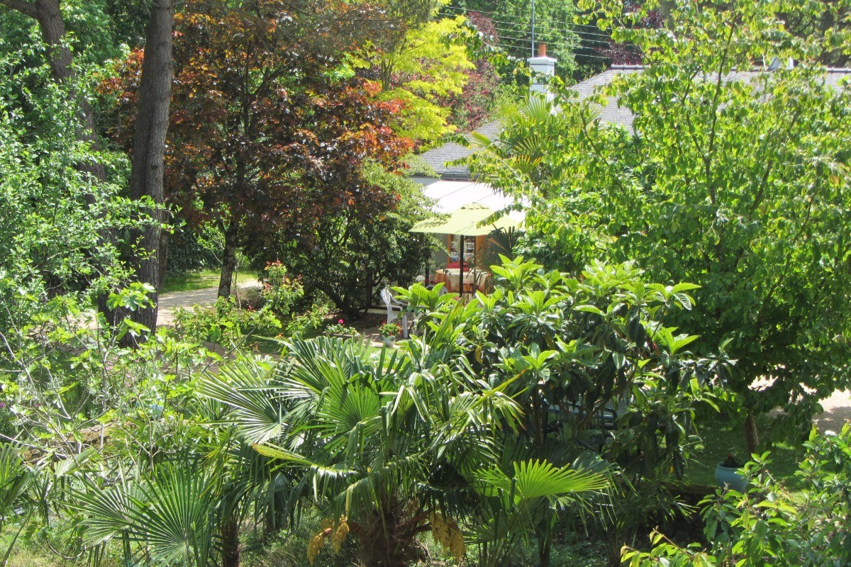 jardin