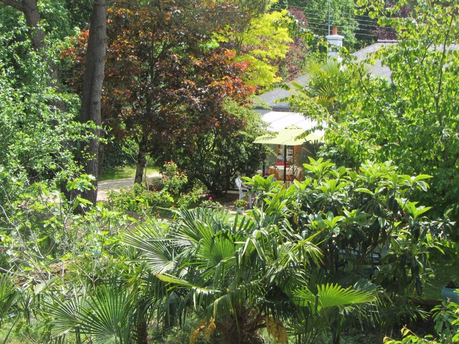 jardin