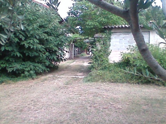 Photo n° 11 de la location