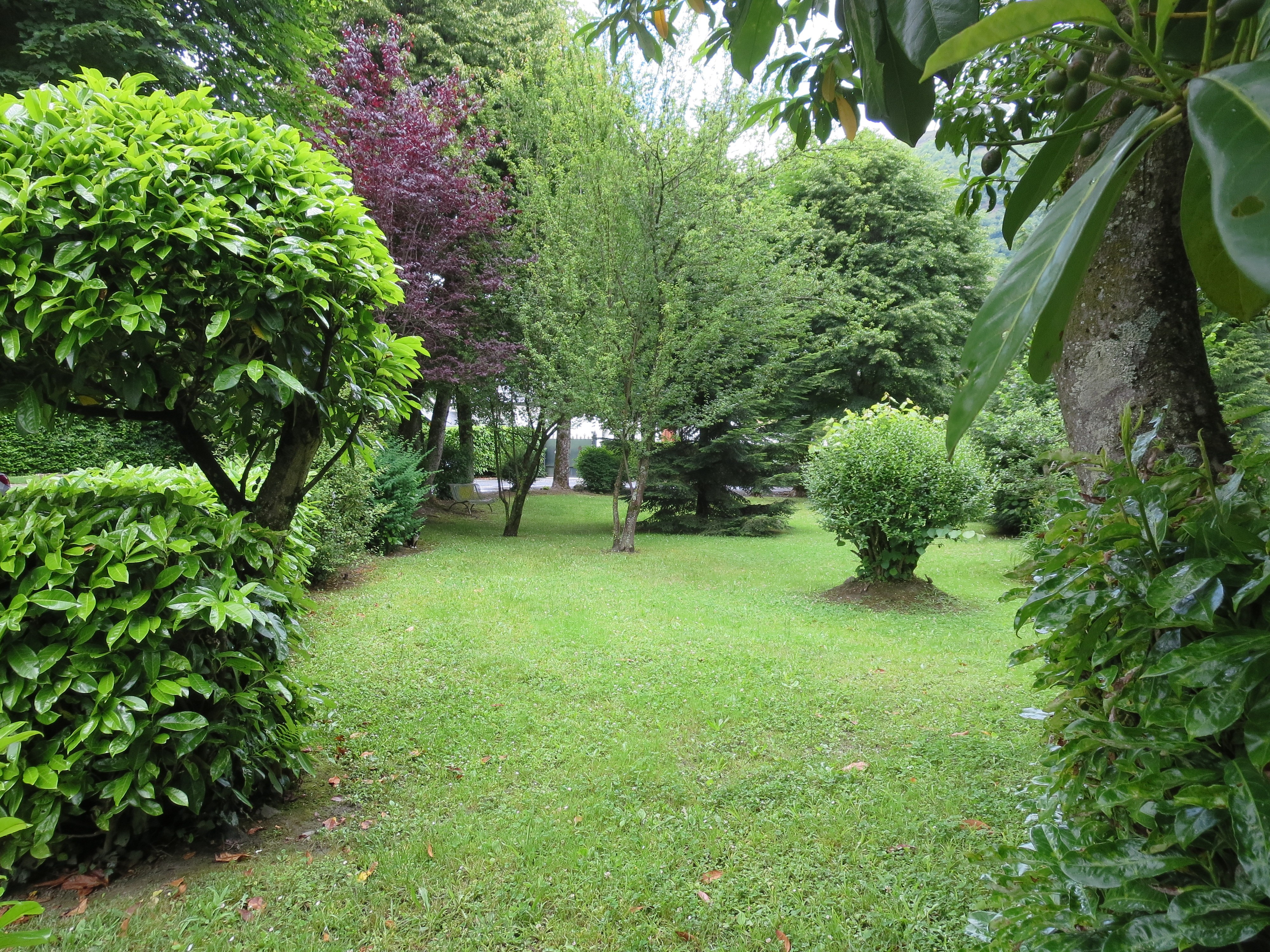 Photo n° 21 de la location