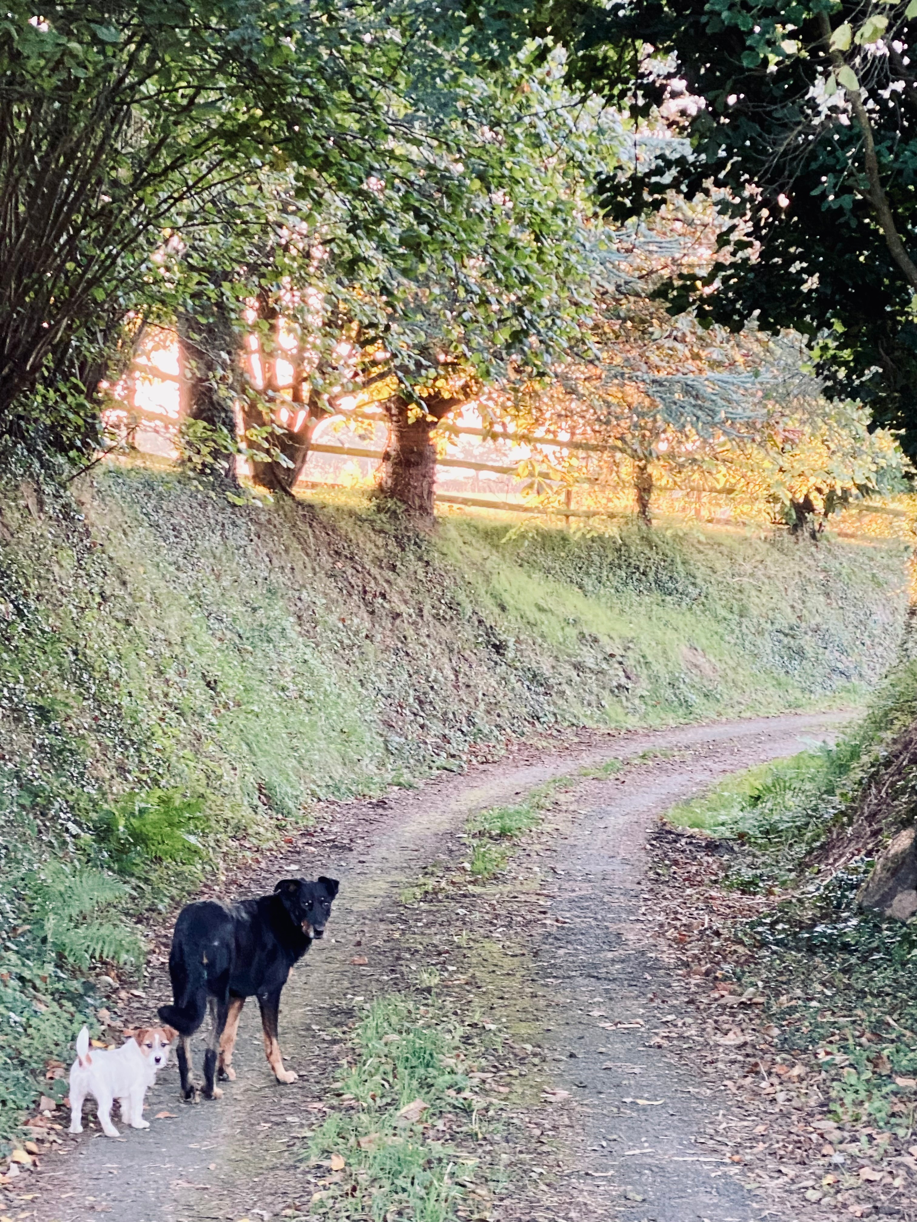 Photo n° 20 de la location