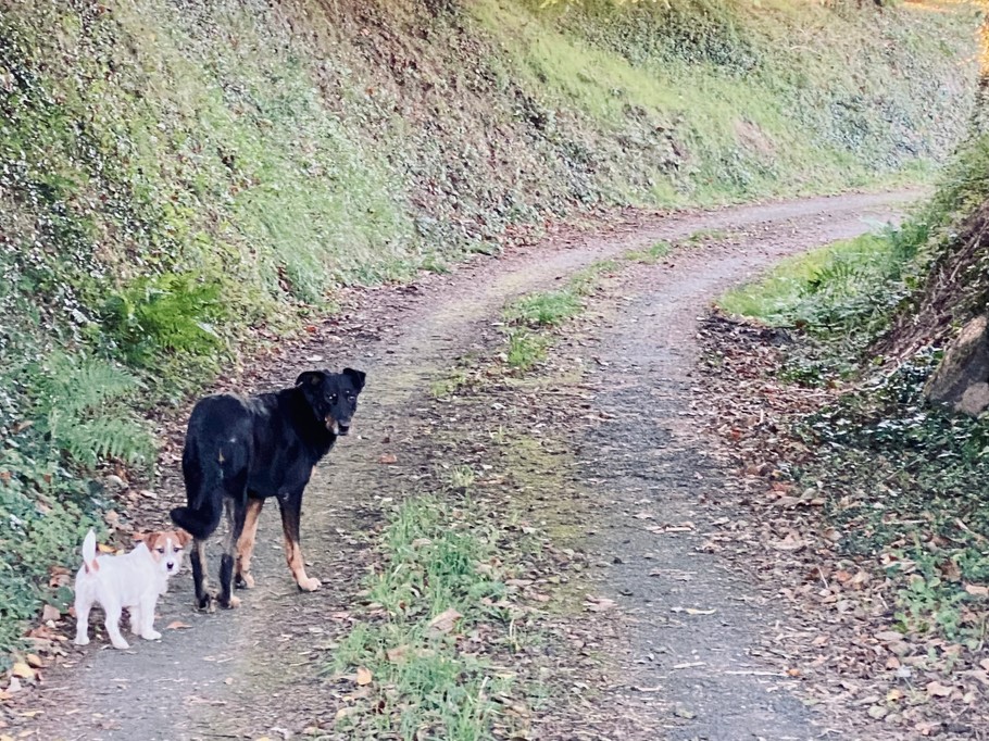 Photo n° 20 de la location