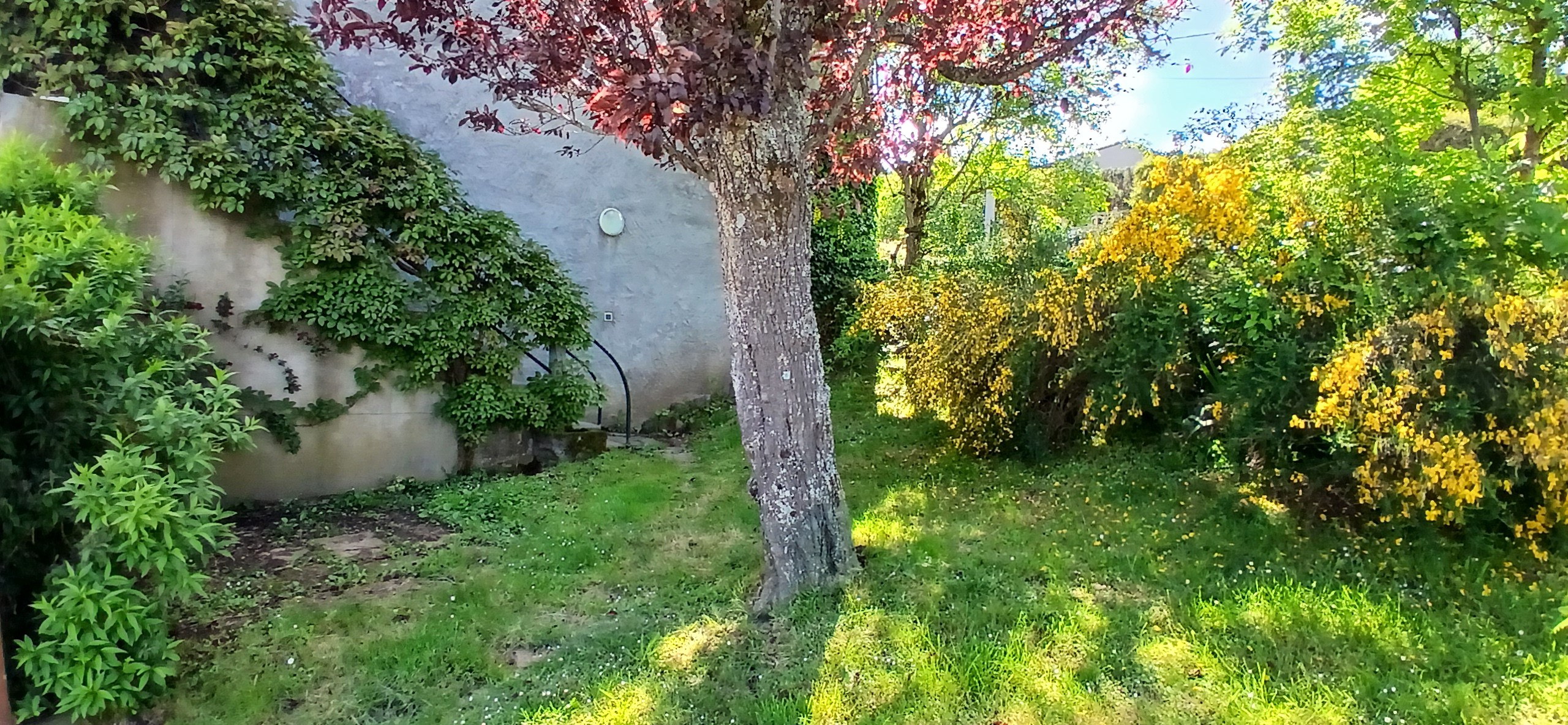 Gîte "Les Châtaigniers", Sarcenat, Orcines, Puy de Dôme, Auvergne - Vue sur le jardin