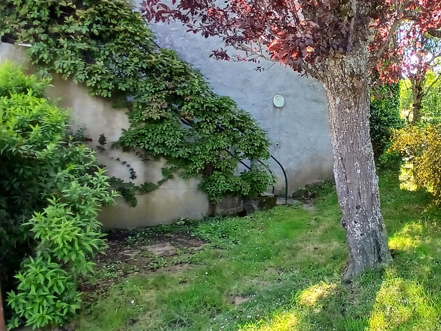 Gîte "Les Châtaigniers", Sarcenat, Orcines, Puy de Dôme, Auvergne - Vue sur le jardin