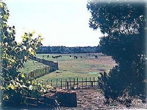 Photo n° 4 de la location