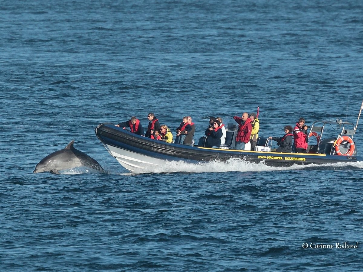 Archipel Excursions : sortie privée en mer d'Iroise