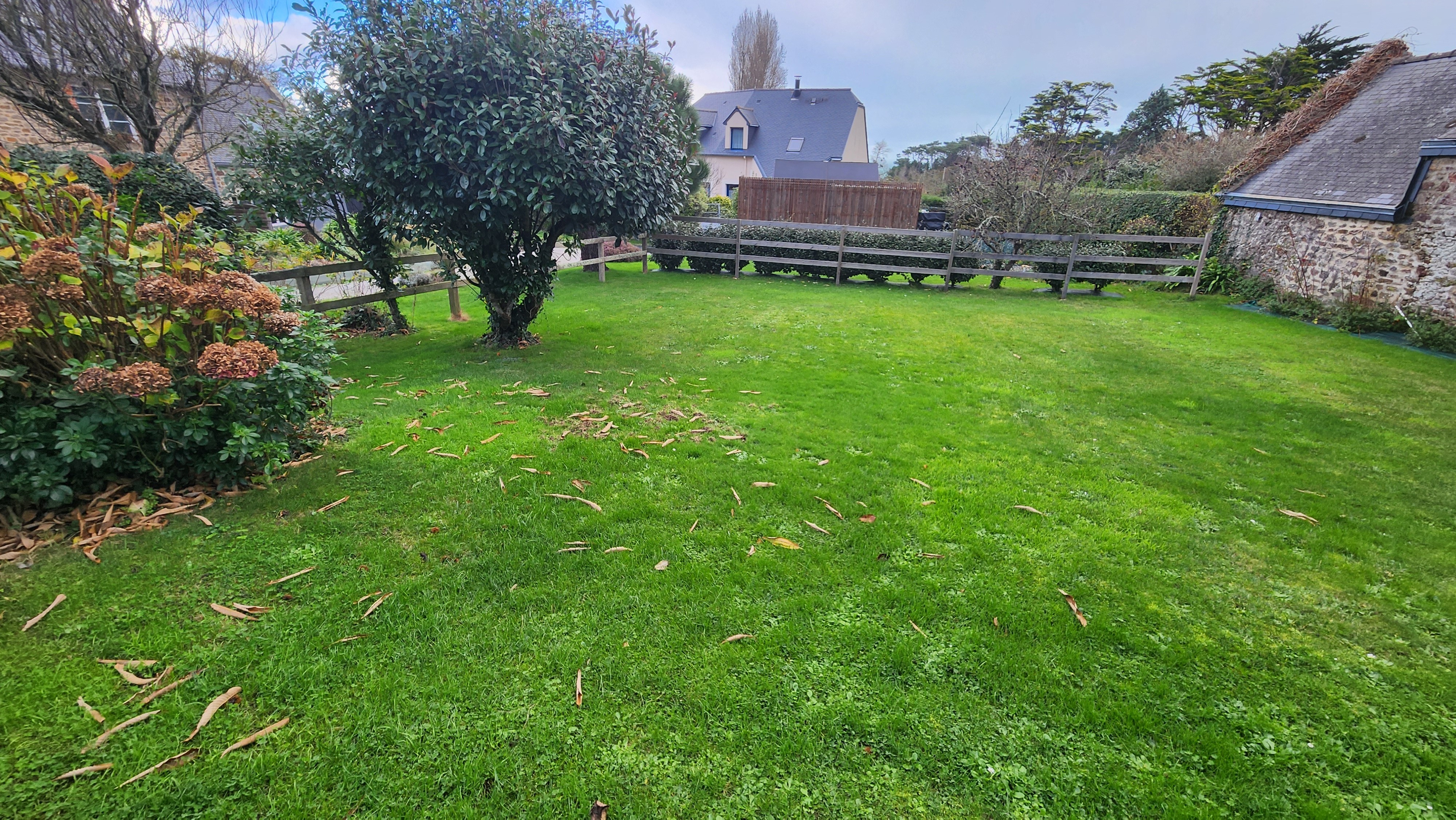 Espace jardin arboré et pelouse