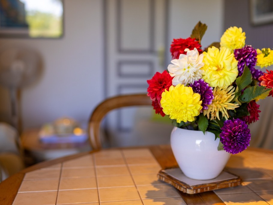 Photo n° 9 de la location