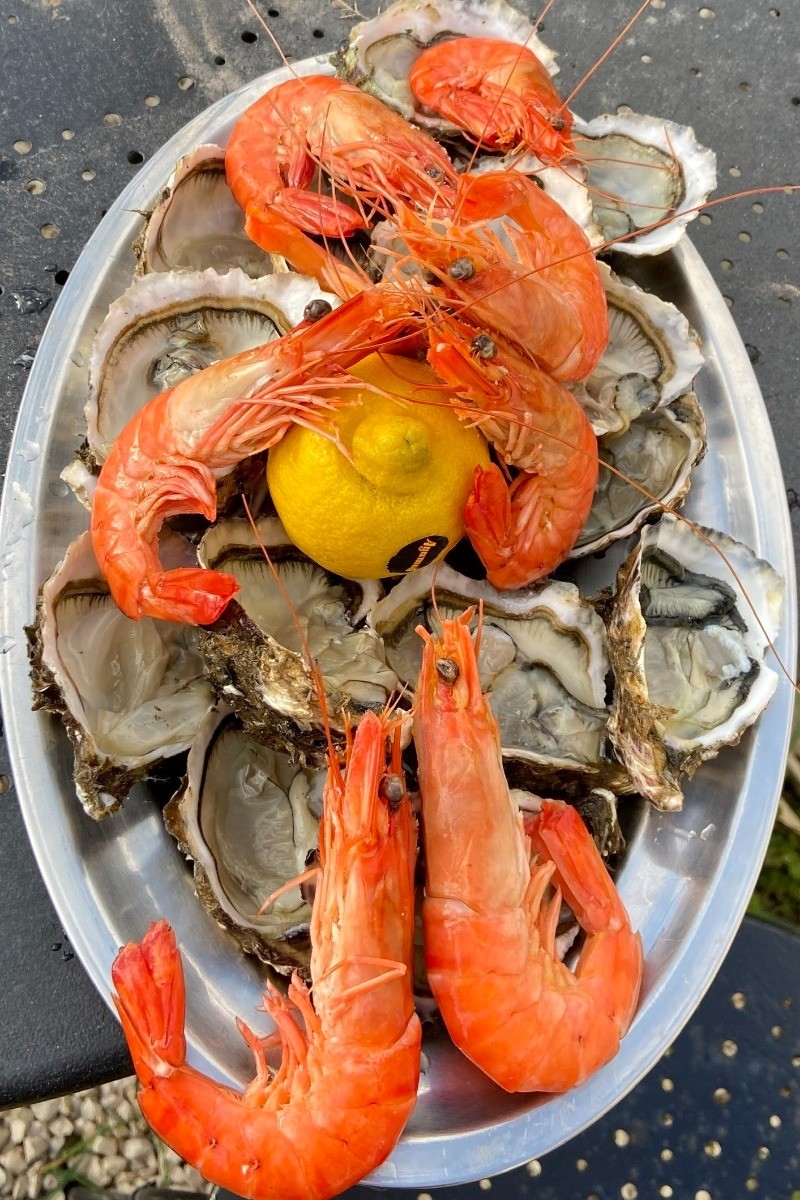 Fruits de mer de chez "Les Viviers de Carteau"