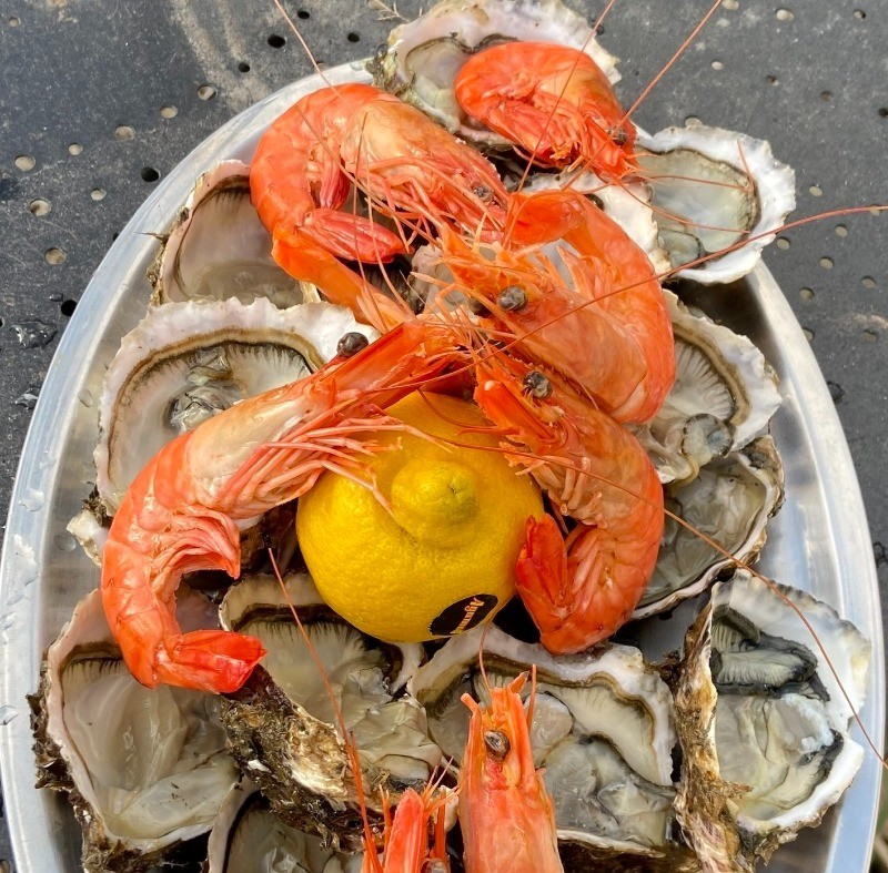 Fruits de mer de chez "Les Viviers de Carteau"
