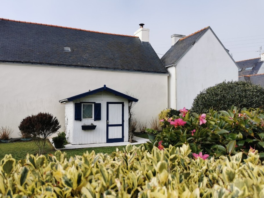 enclosed garden in front of the house with shed