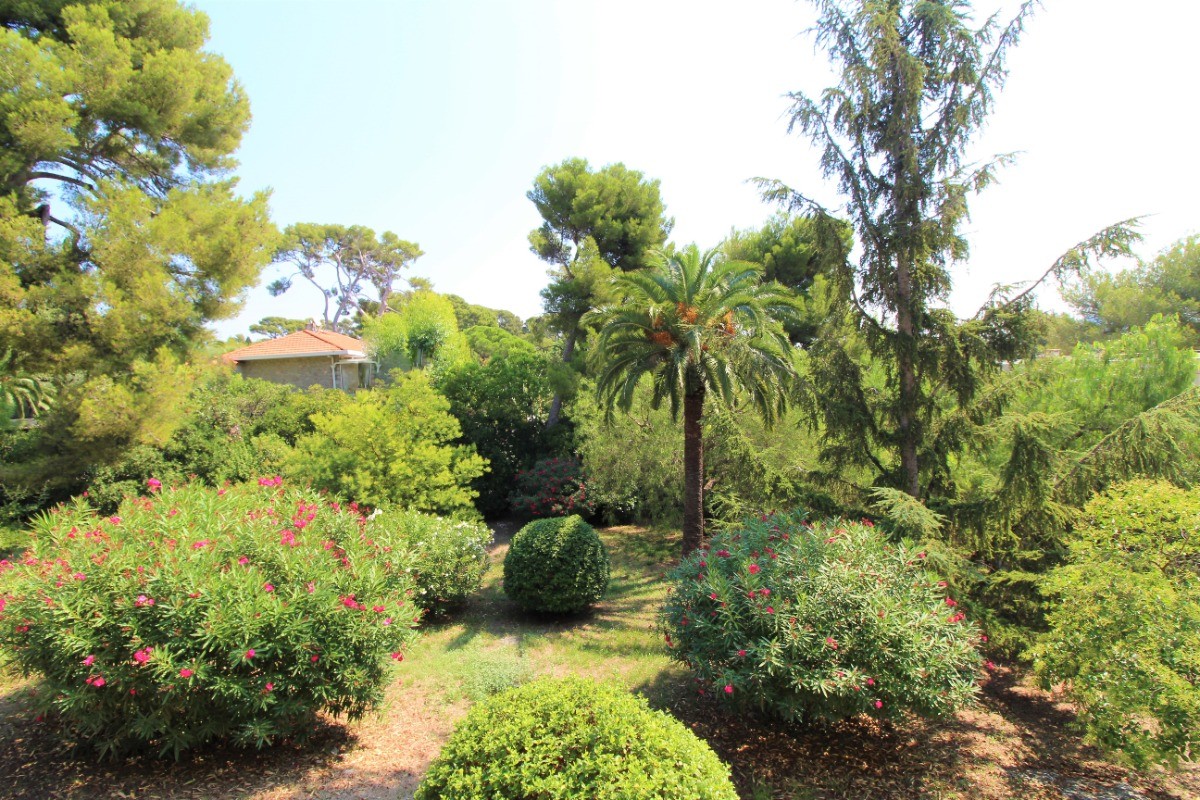 Vue du balcon sur jardin paysager méditerranéen.