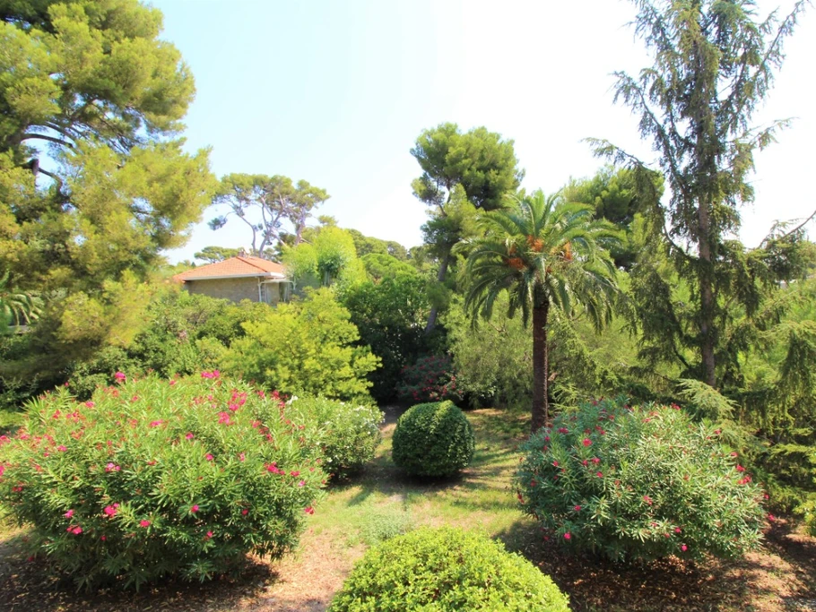 Vue du balcon sur jardin paysager méditerranéen.