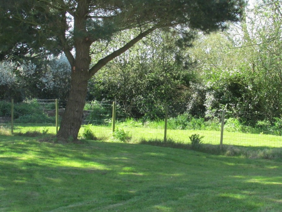 Jardin