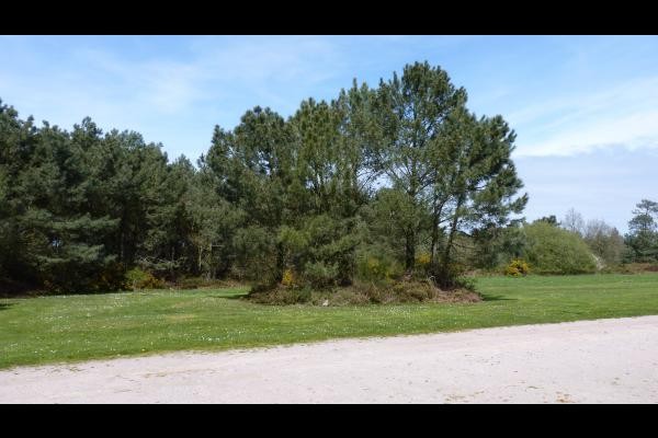 Résidence de la Carquois Fréhel parc