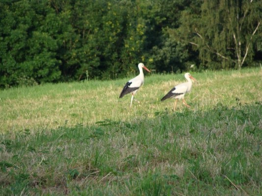 Photo n° 9 of the location