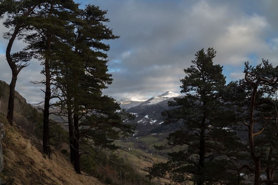 Photo n° 13 de la location