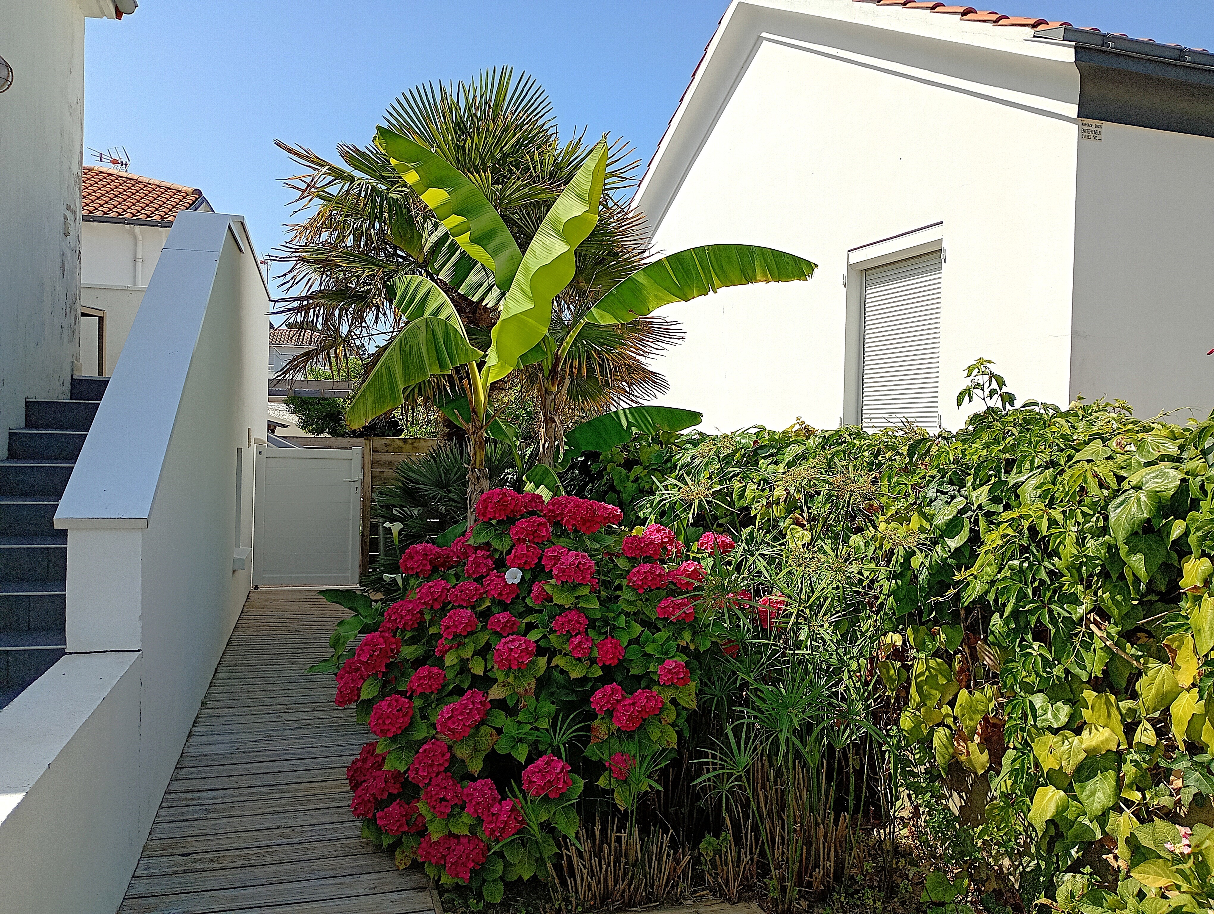 Photo n° 12 de la location