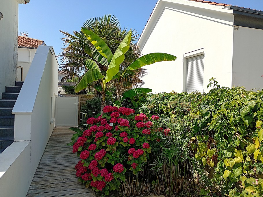 Photo n° 12 de la location