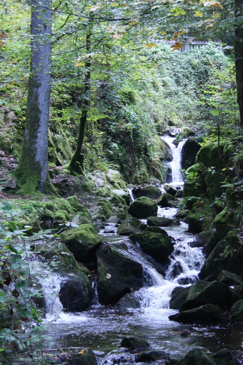 Cascade du Géhard à 10 min en voiture - Chez Maïse