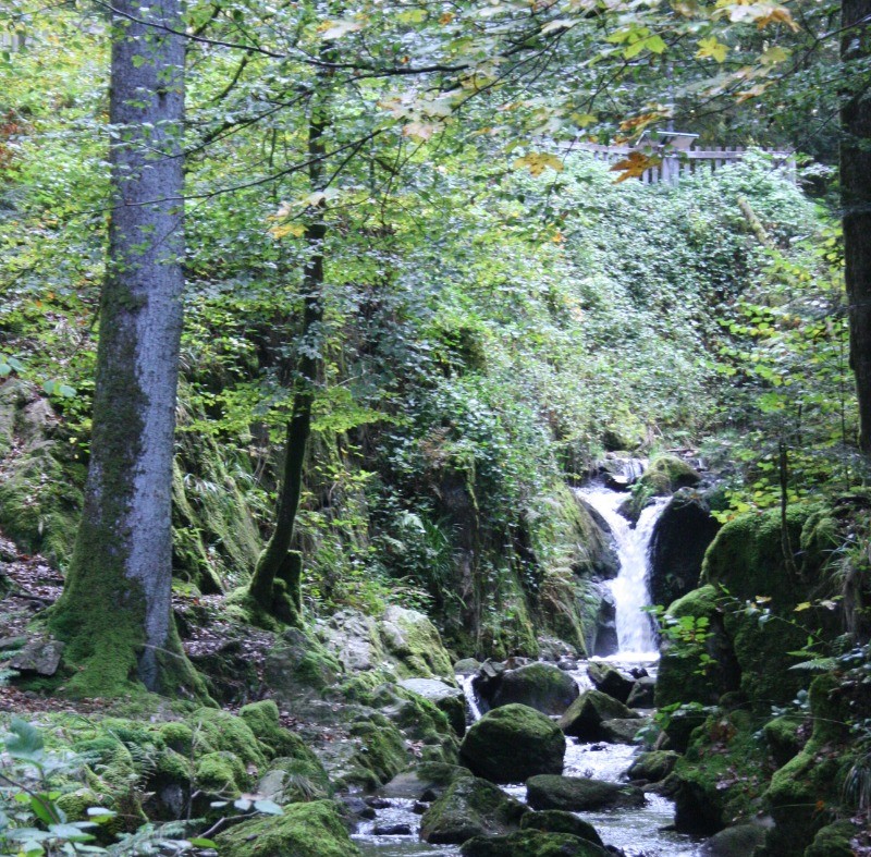 Cascade du Géhard à 10 min en voiture - Chez Maïse