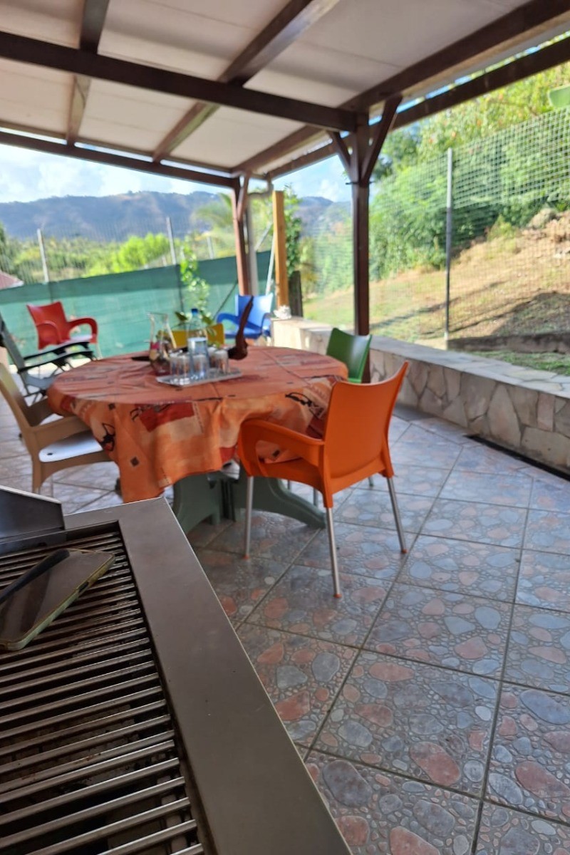 terrasse arrière - espace barbecue