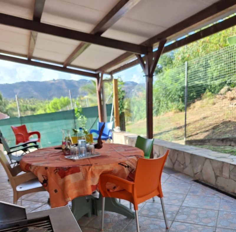 terrasse arrière - espace barbecue