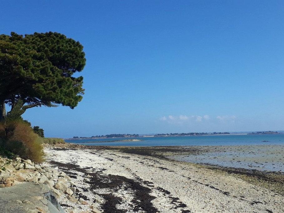 Sentier des douaniers Saint-Pol-de-Léon
