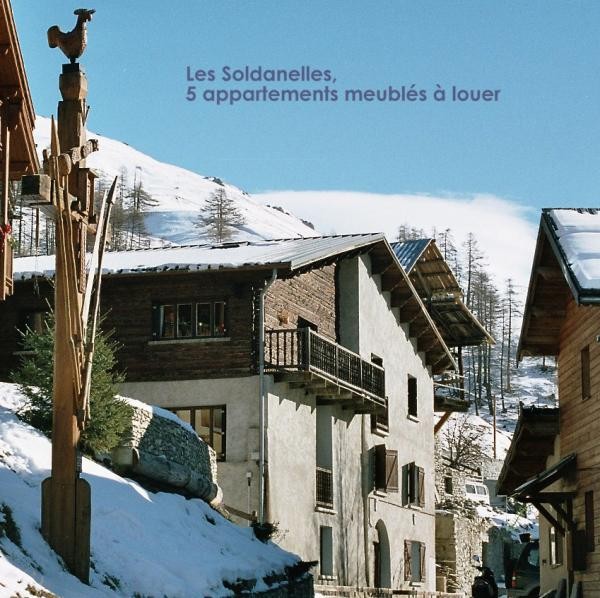 Les Soldanelles en hiver
