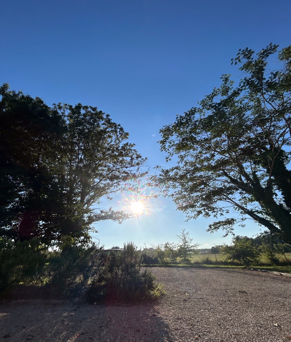 Photo n° 15 de la location