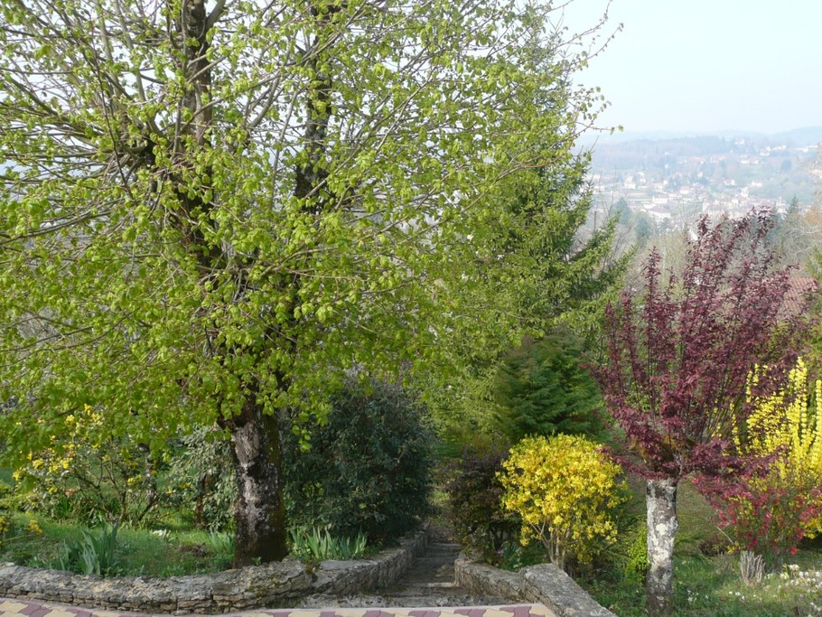 terrasse avec vue sur le parc