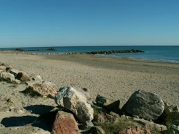 large plage sable fin