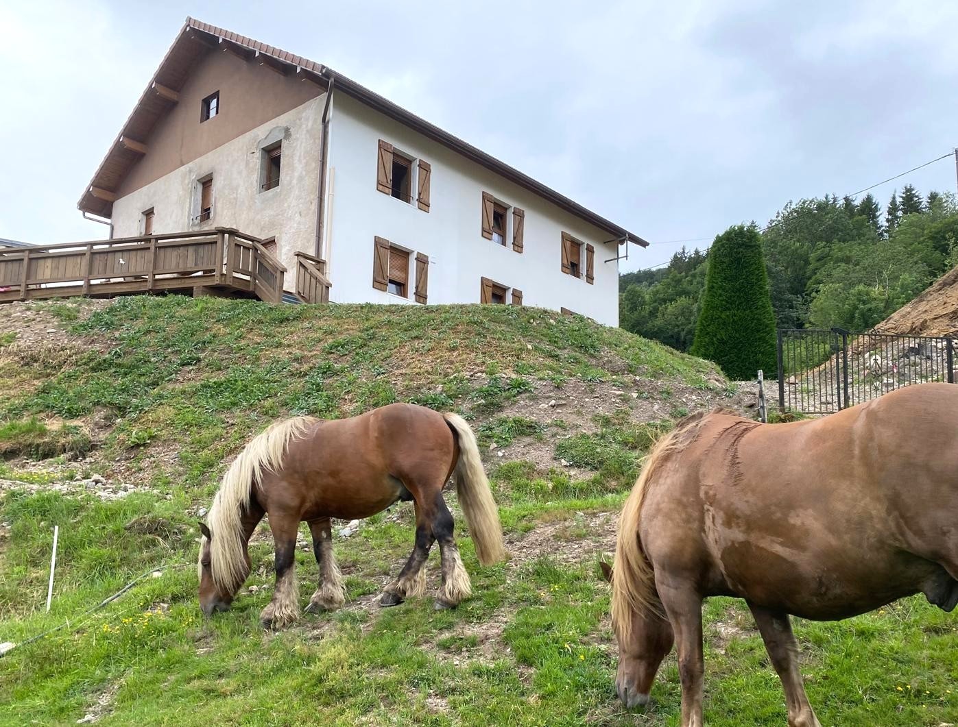 La Clé des Champs à Bussang – Gîte tout confort dans les Hautes Vosges