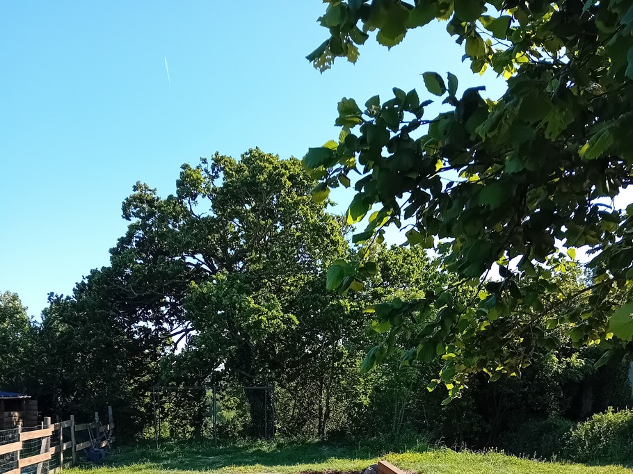 Photo n° 9 of the location