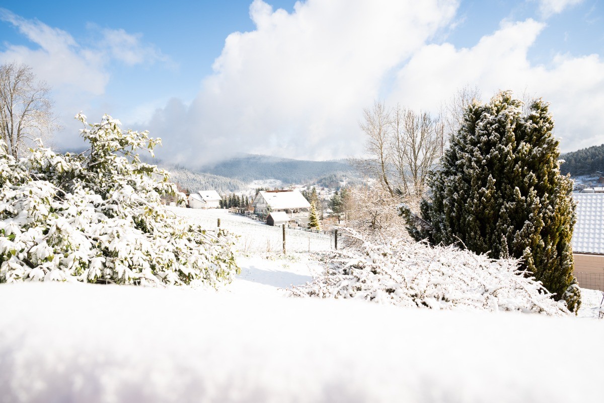 Paysage d'hiver - Chalet les Ecureuils