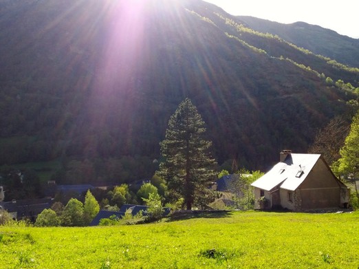 Image n° 1 de la location