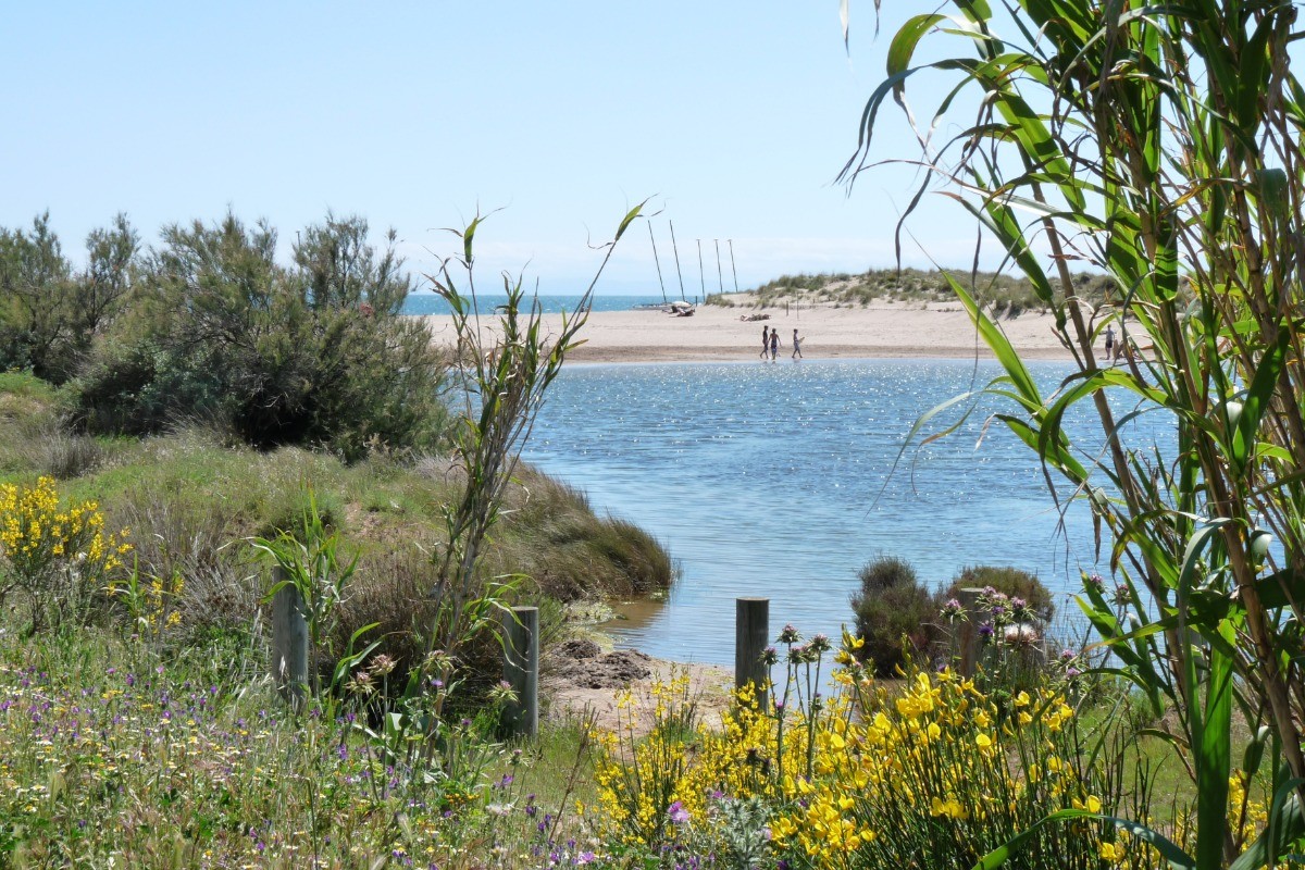 Photo n° 18 of the location