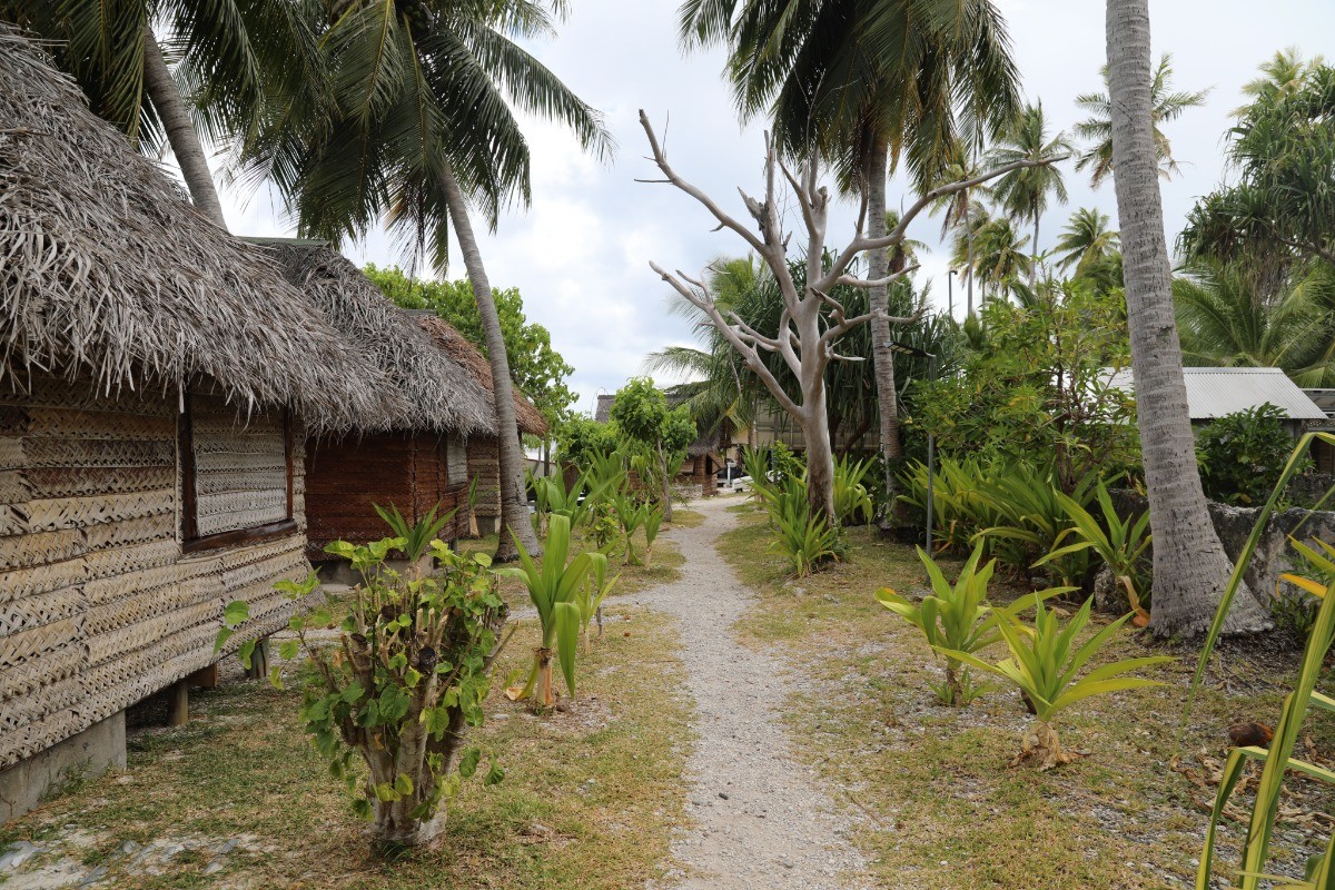 Photo n° 3 de la location