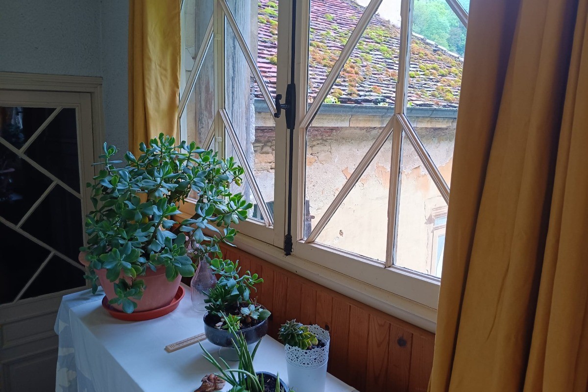 Photo n° 18 of the location