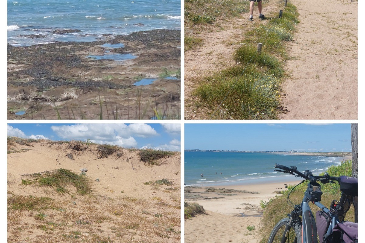 BALLADES DANS LES DUNES A PIED EN VELO