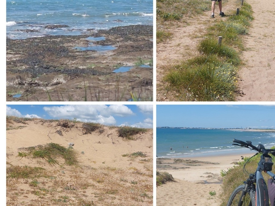 BALLADES DANS LES DUNES A PIED EN VELO