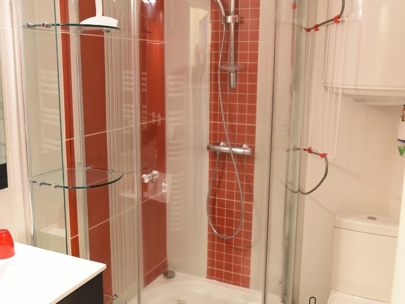 Le Nid douillet - Mont Dore - Pièce de vie - Salle d'eau