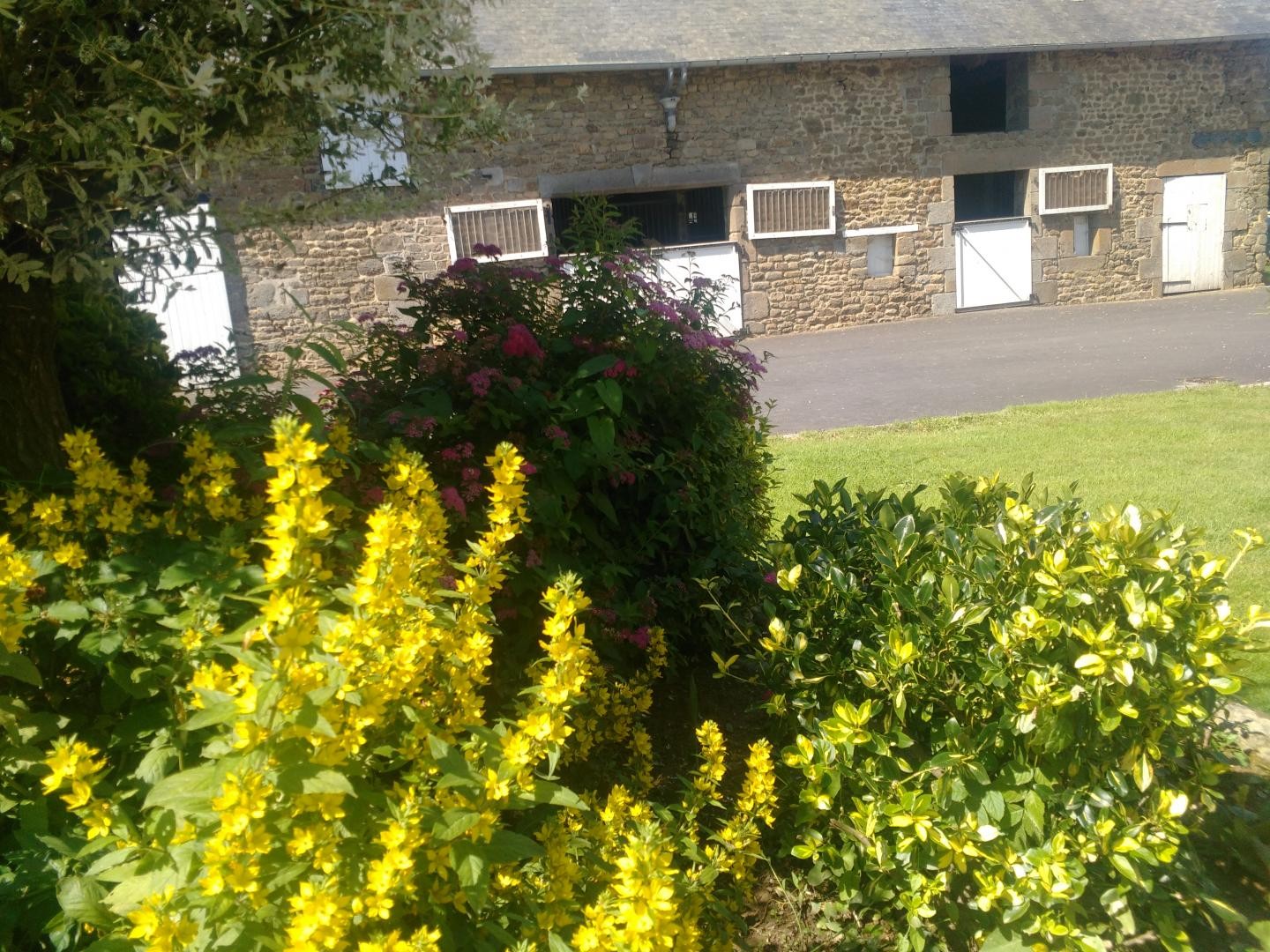 Photo n° 9 of the location