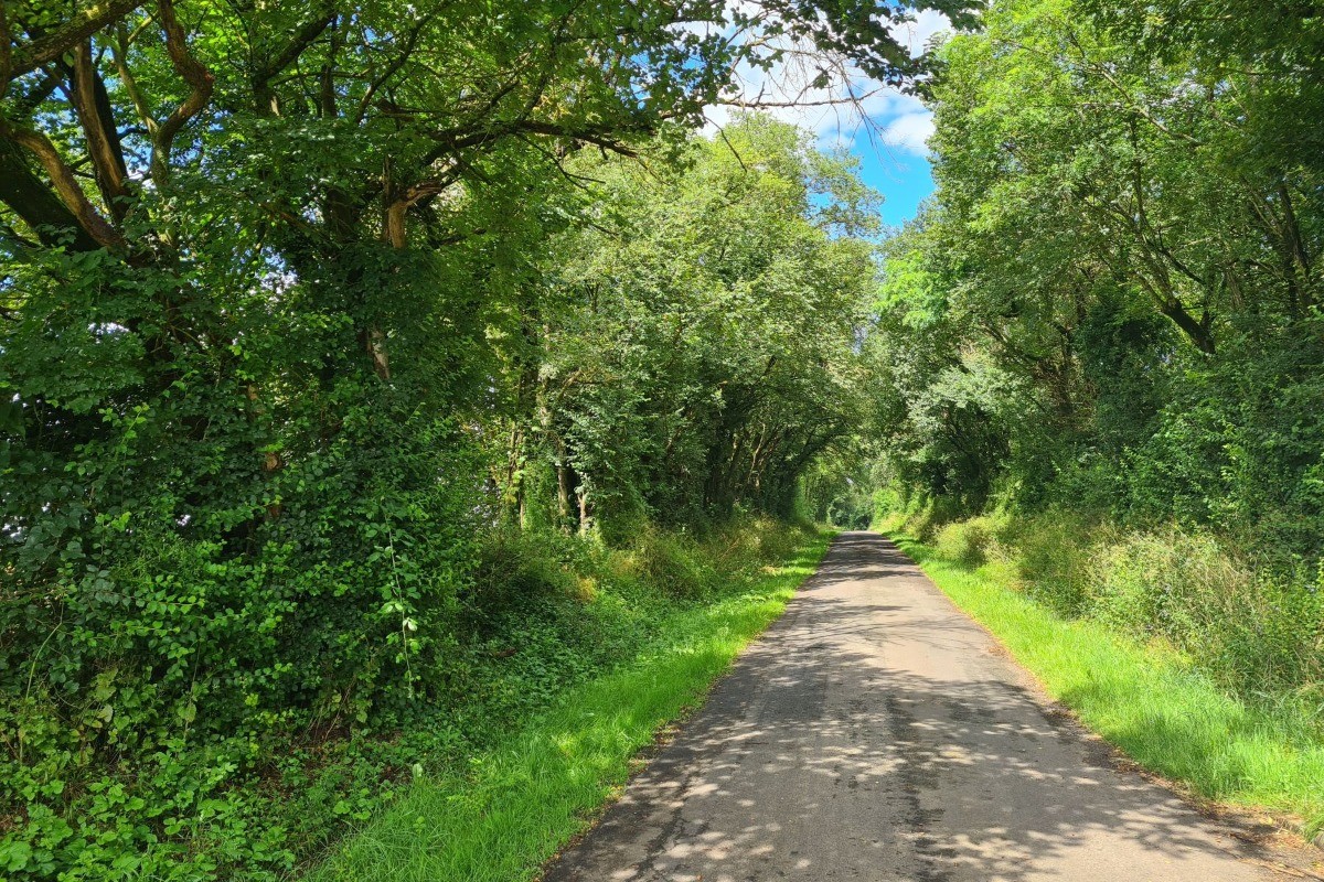 chemin de randonnée, pas loin du gîte