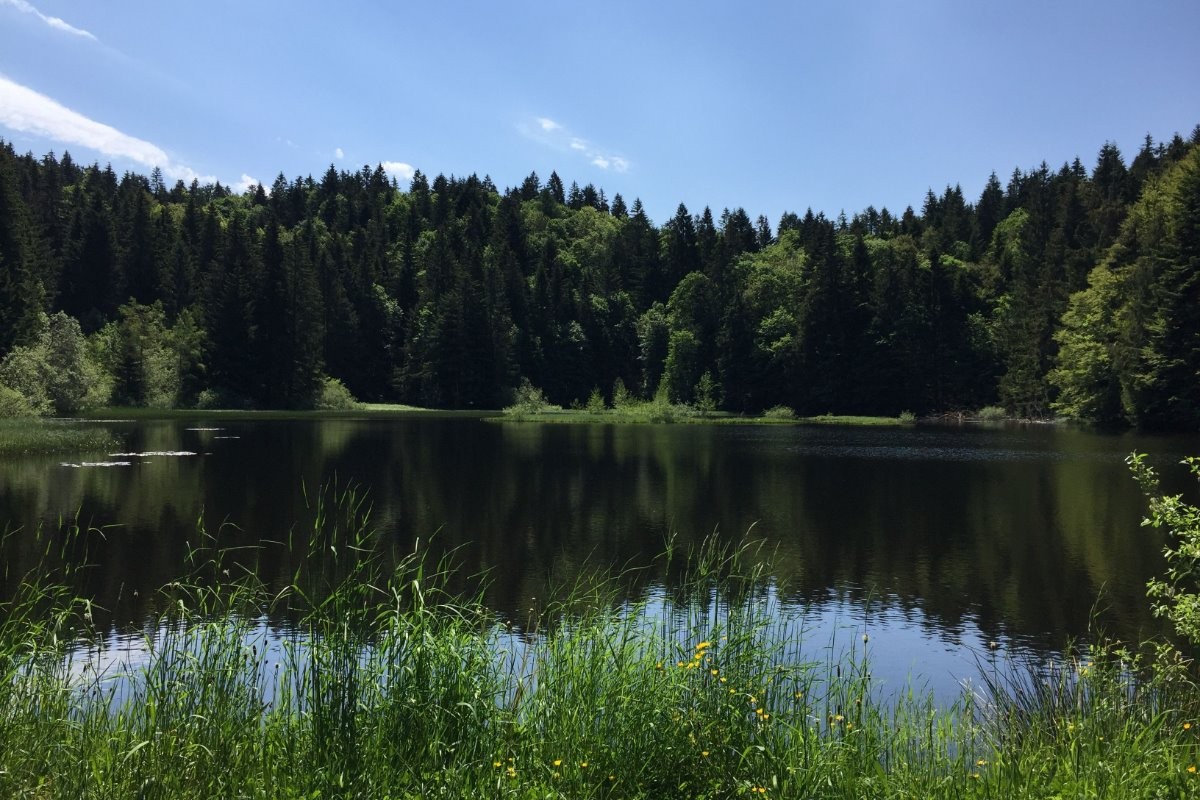 Environnement - Chalet "Bel Horizon"