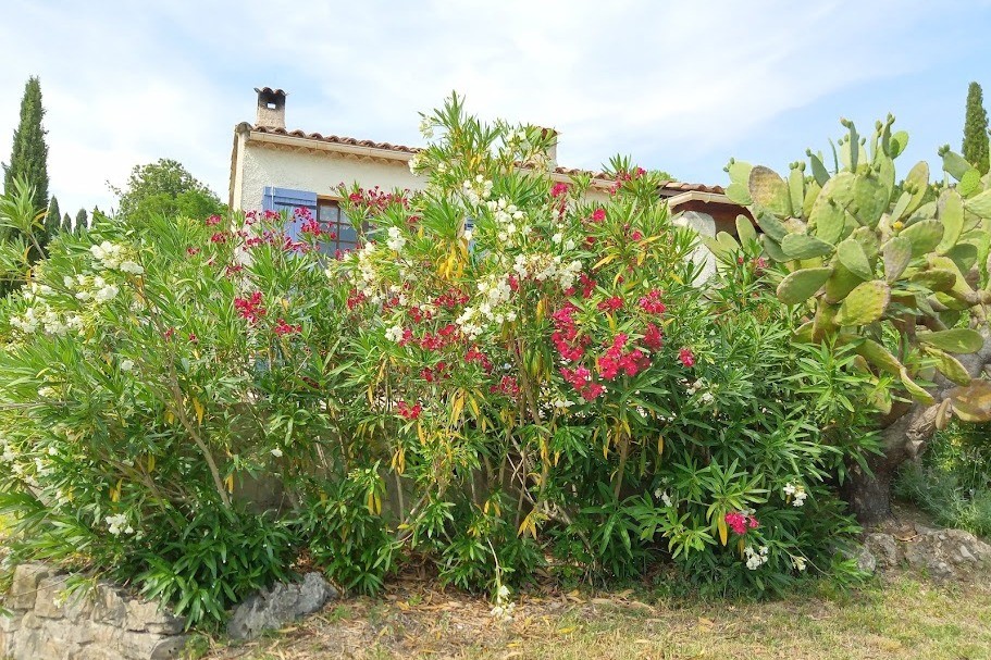 Photo n° 15 de la location