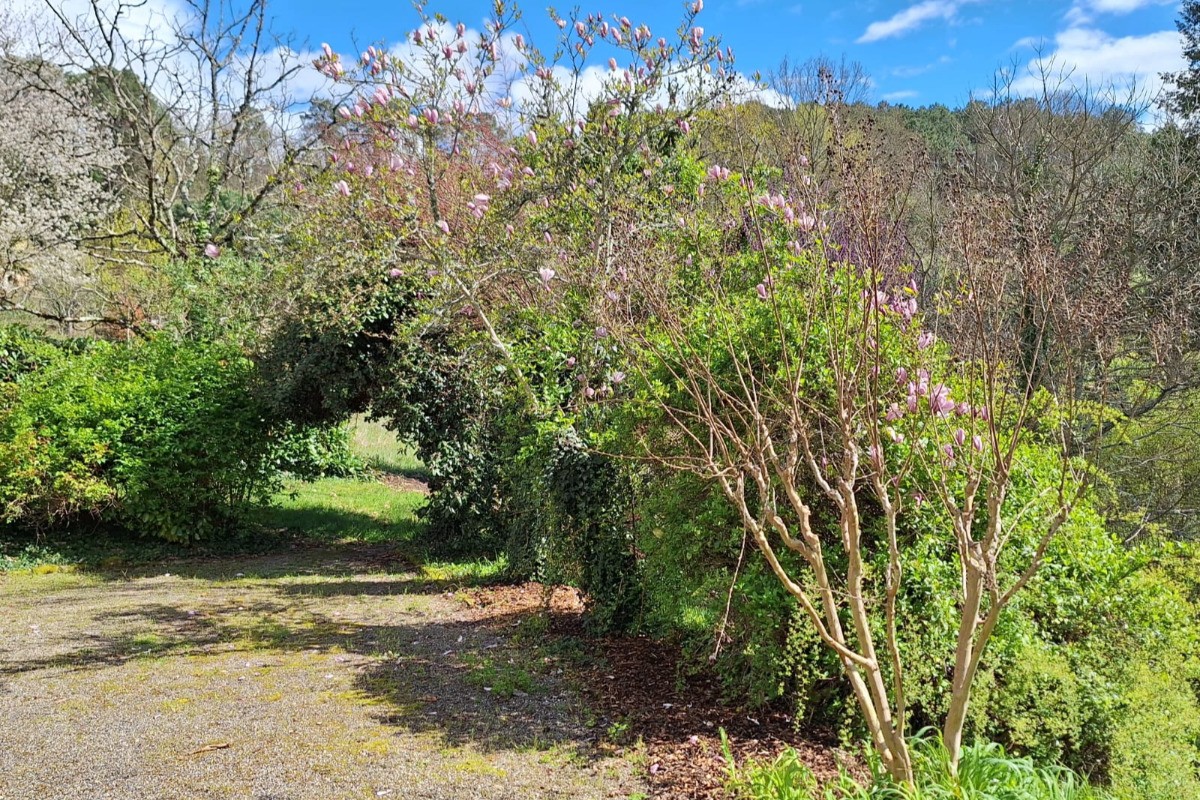 Photo n° 19 de la location