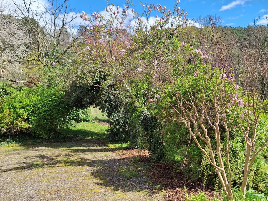 Photo n° 19 of the location