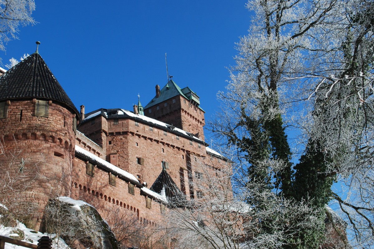 Château du HAUT-KOENIGSBOURG